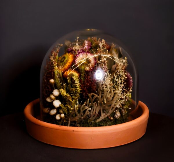 Jardim Eterno Tam M (sem puxador)