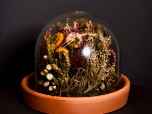 Galeria Botânica|Jardim Eterno Tam M (sem puxador)