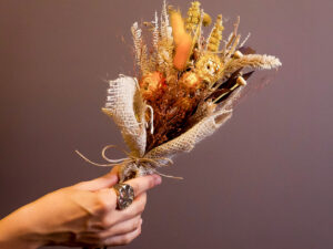 Galeria Botânica|Memória