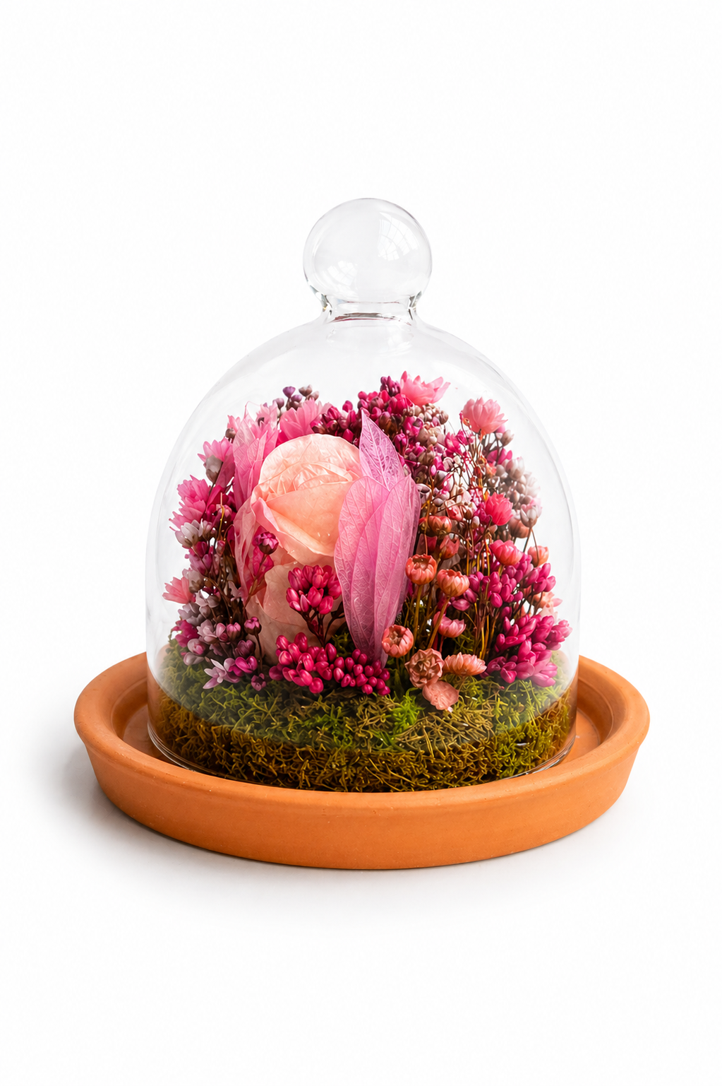Mini rosa