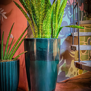 Galeria Botânica|Left Sidebar