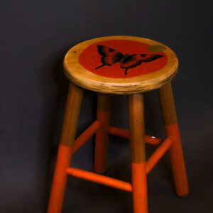 2025-01-29 12.36.15 (1) Banqueta G borboleta - Ju Amora