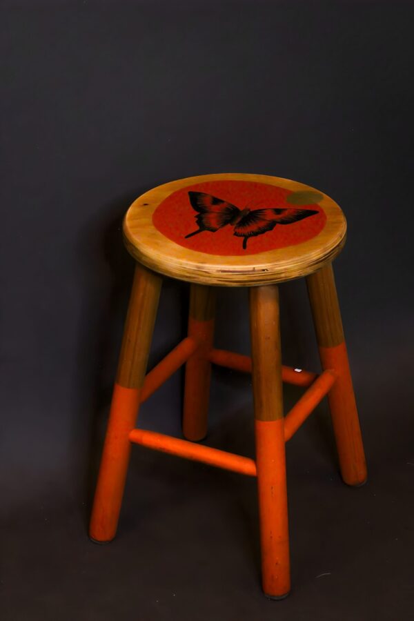 2025-01-29 12.36.15 (1) Banqueta G borboleta - Ju Amora