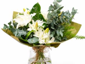 ChatGPT Image 29 de abr. de 2026, 14 57