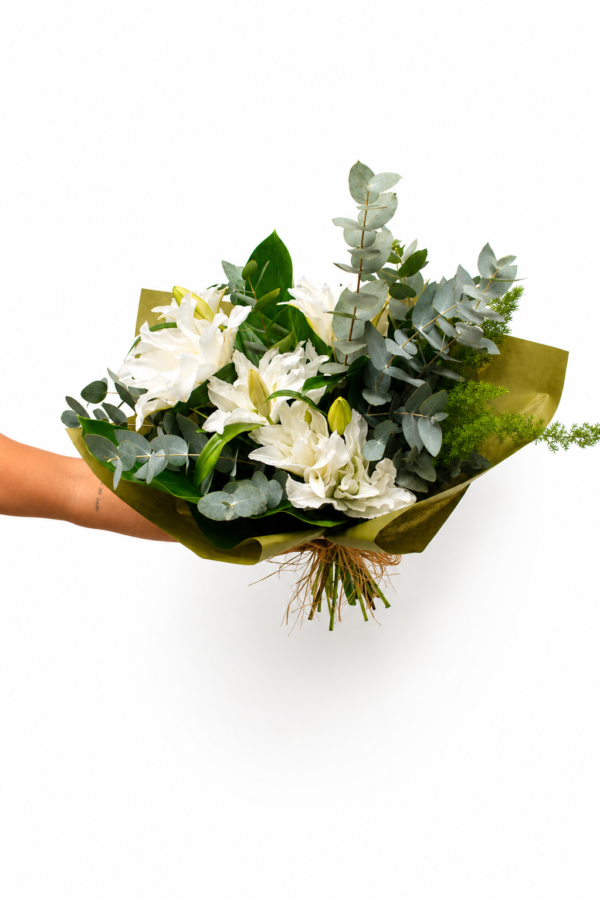 ChatGPT Image 29 de abr. de 2026, 15 02