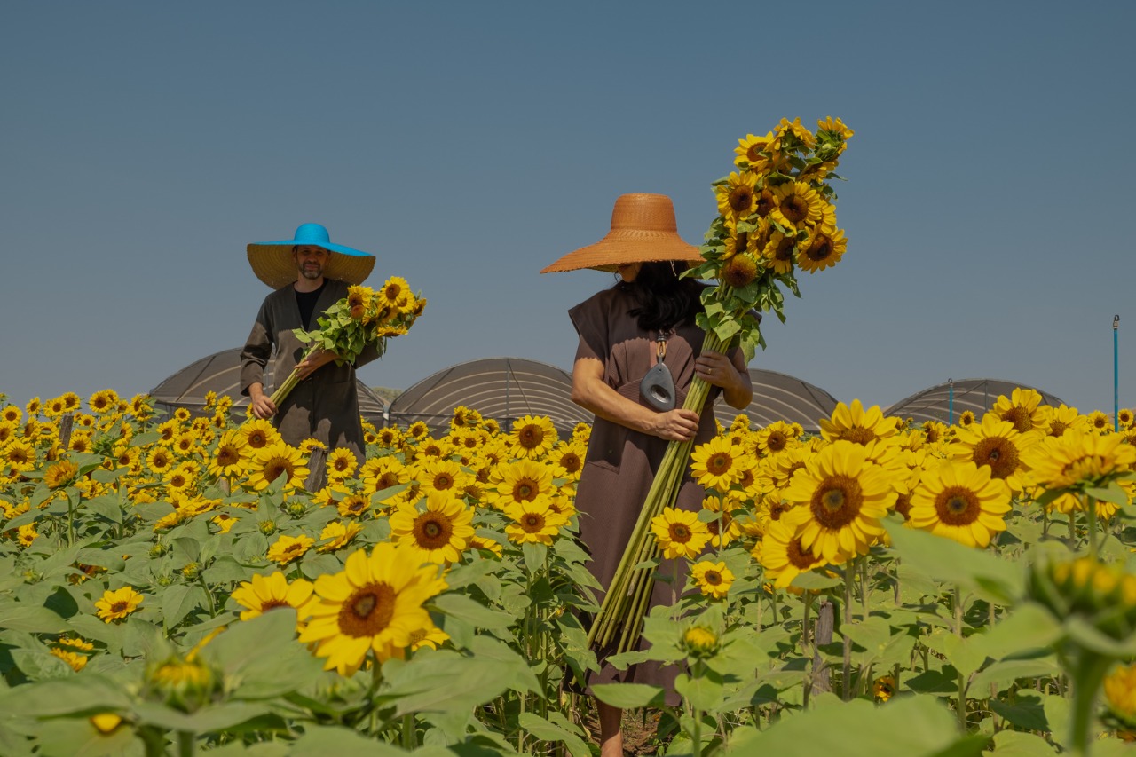 WhatsApp Image 2025 07 31 at 18.20.38.jpeg