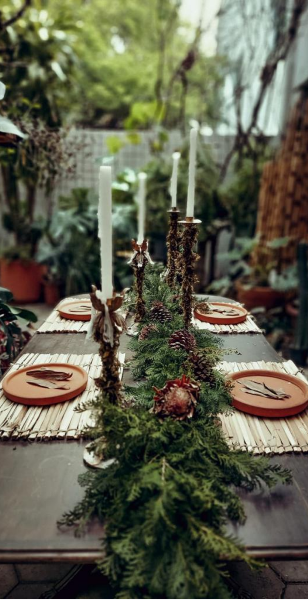 CATALOGO DE NATAL GALERIA BOTÂNICA 2026 (1)
